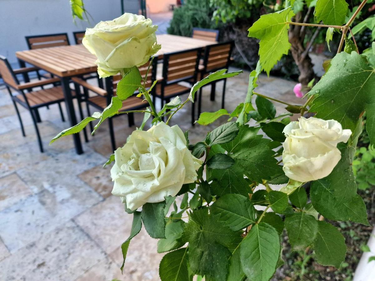 Premium Apartment Alba Rosa Split Buitenkant foto